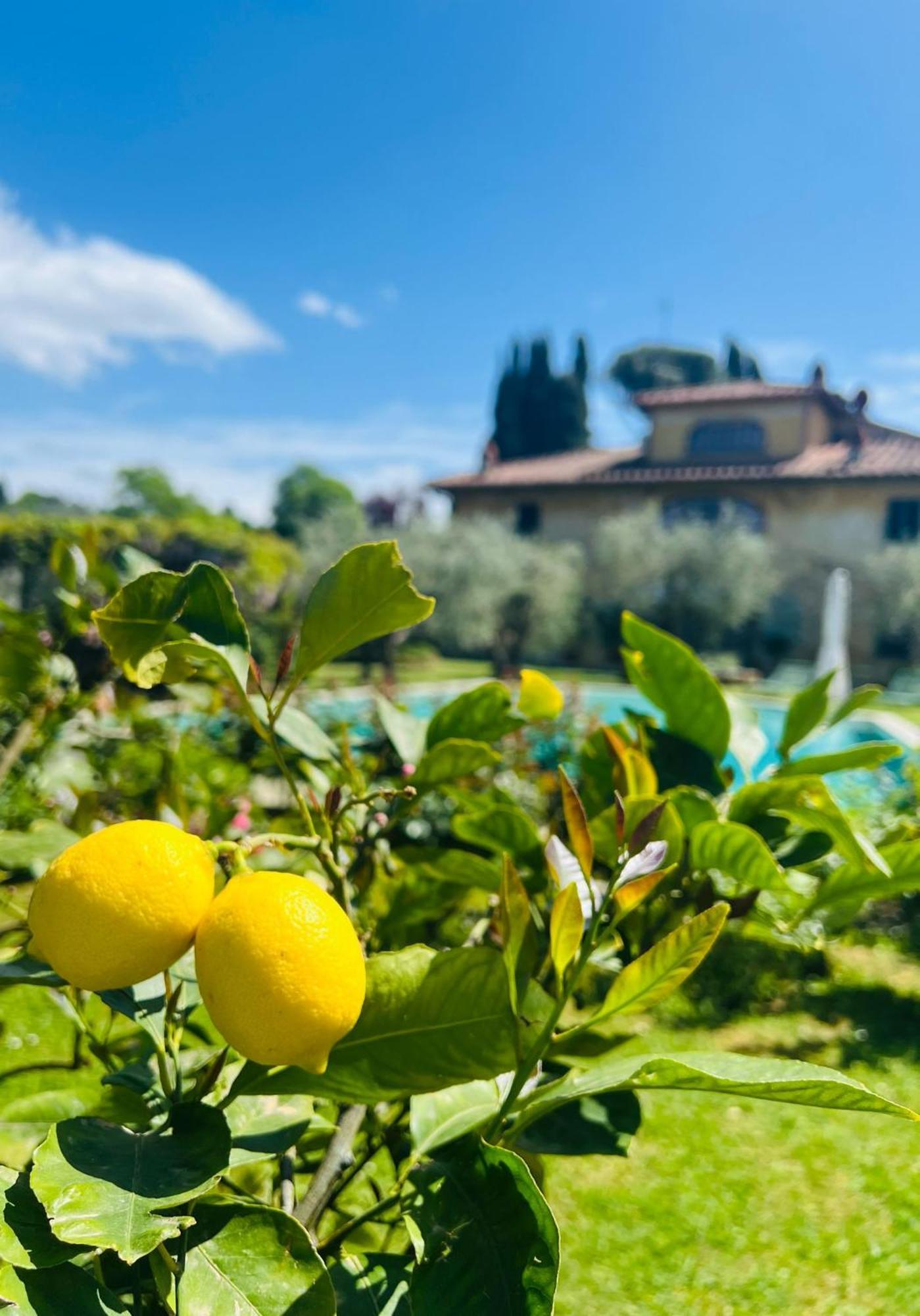 Villa Giotto Florence Pozzolatico Extérieur photo